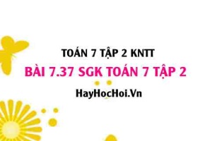 Bài 7.37 SGK Toán 7 tập 2 Kết nối tri thức